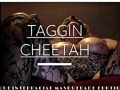 A voluptuosa jornada de Taggin Cheetahs em um intenso encontro interracial