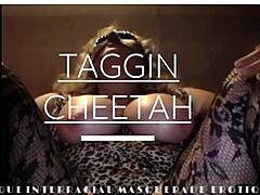 Taggin Cheetahs vellystige reise i en intens interracial møte