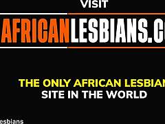 La belleza africana es lamida y penetrada con los dedos en un video casero